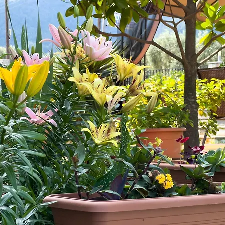 Katerina & Гостевой дом