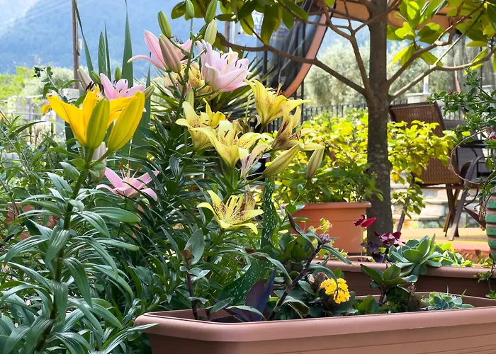 Katerina & Maison d'hôtes